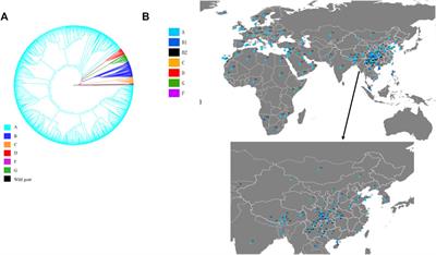 Analysis of World-Scale Mitochondrial DNA Reveals the Origin and Migration Route of East Asia Goats